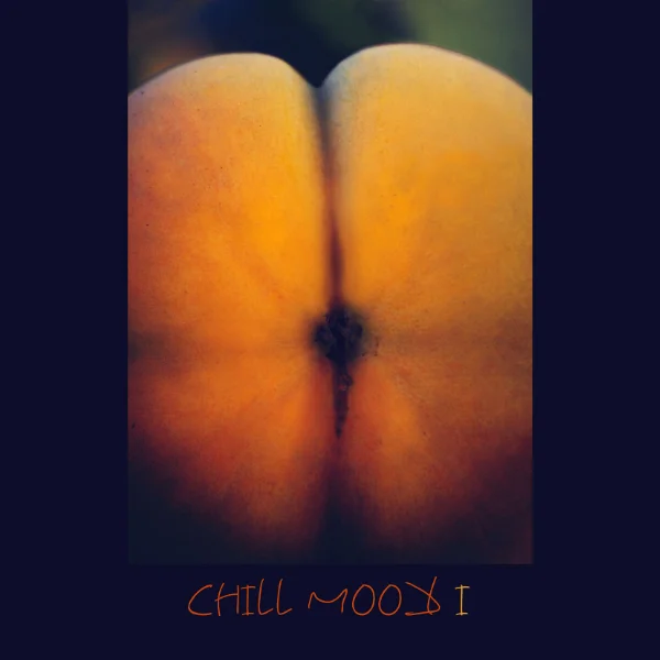 Chill Mood, Blue Swan,